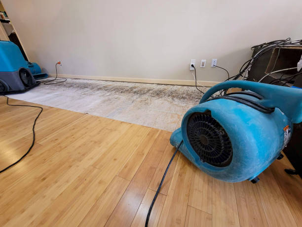 Professional Water Removal technician working in Ward, CO